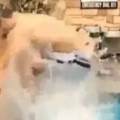Eine Beinübung, die noch besser ist als Burpees