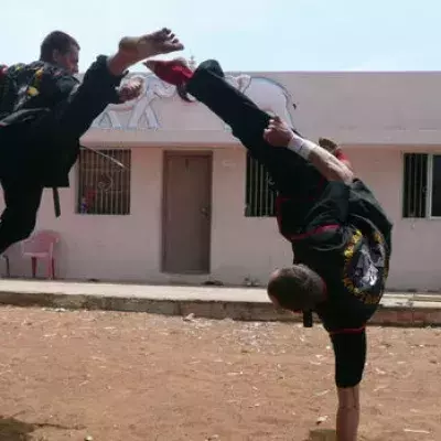 Kung-Fu vs. Taekwondo