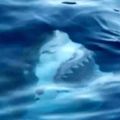 Mutprobe geht viral: Niemand kann nach diesen Bildern noch ins Wasser gehen!
