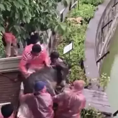 Zoo: Was die Männer mit dem Esel vorhaben, ist widerwärtig!