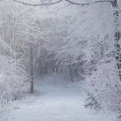 Schneezauber: Was gehört beim Winterwandern in den Rucksack?