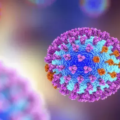 Neuartiger Influenza-Virus von Australien nach Europa übergeschwappt