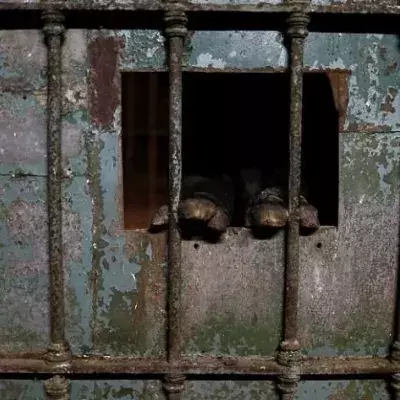 Vor einem Jahr wurde der Zoo geschlossen: Doch noch immer leben hier Tiere!