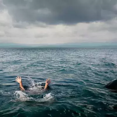 In einem TikTok-Video kommt es zum Aufeinandertreffen zwischen Hai und Schwimmern. 
