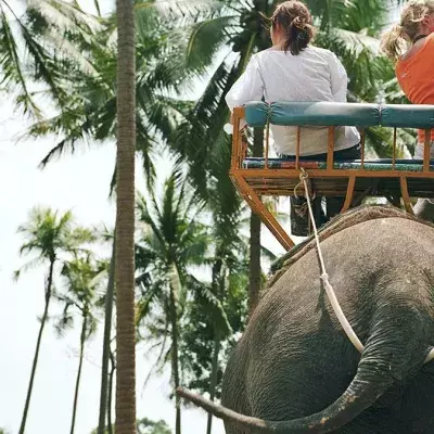 Elefanten in Thailand
