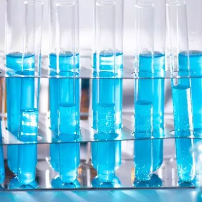 Bakterium, Nanoporensequenzierung, Schafhirte, Mediziner:innen