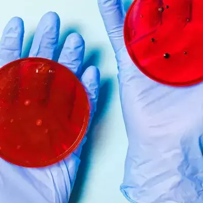 In Bayern ist eine neue Mutation des Coronavirus aufgetaucht.