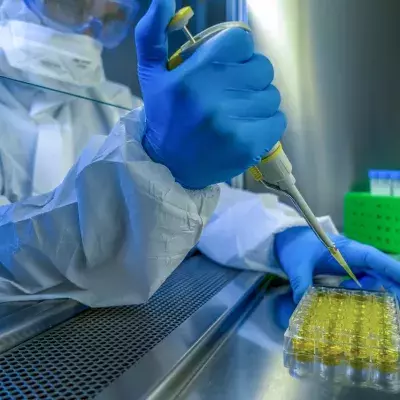 Coronavirus schon seit November 2019 in Europa? Italien hat den lebendigen Beweis