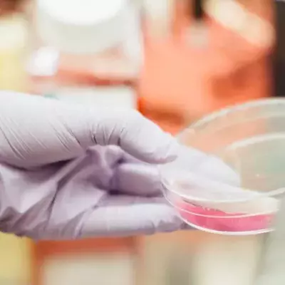 Das Coronavirus könnte im Labor hergestellt worden sein