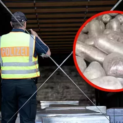 Dresdner Zoll macht 2.000 Kilo schweren Ekelfund in Kühltransporter