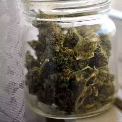 Cannabis-Konsum: Dieses Sinnesorgan wird auf Dauer durch das Rauchen verändert