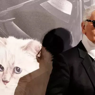 Karl Lagerfeld hinterlässt großes Erbe: Das Schicksal seiner Katze sorgt für Entsetzen