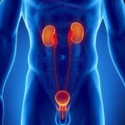 Prostatakrebs: Definition, Anzeichen und Symptome, Therapie und Behandlung durch Operation oder Bestrahlung, wie sind Heilungschancen und Lebenserwartung?