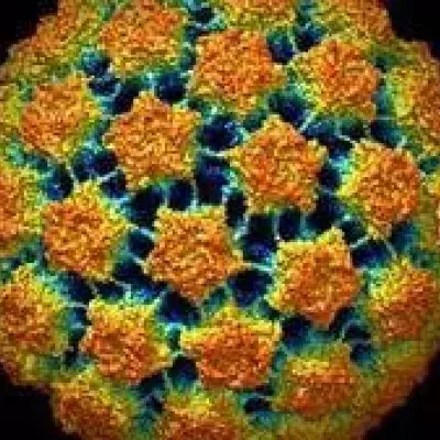 HPV: Definition, Symptome, Übertragung, Therapie und Behandlung, Impfung, was ist das Humane Papillomavirus?