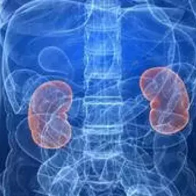 Chronische und akute Niereninsuffizienz: Definition, Anzeichen und Symptome, Ursachen, Therapie und Behandlung, Stadien, was ist Nierenversagen?