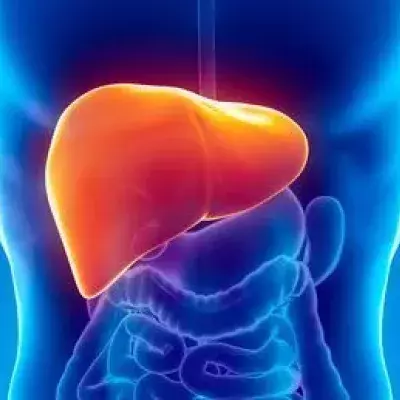 Hepatitis C: Symptome, Übertragung, Impfung, Ansteckung und Therapie