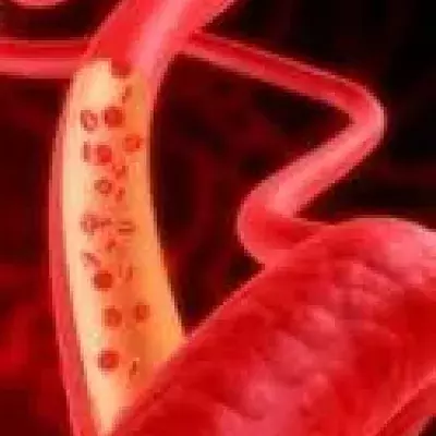 Diabetes mellitus: Typ 1, Typ 2, Symptome, Ernährung, Werte, Ursachen, Diagnose und Behandlung
