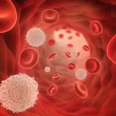 Cholesterin: Wie kann man Cholesterinwerte senken? HDL, LDL, Ernährung, Grenzwerte, Behandlung