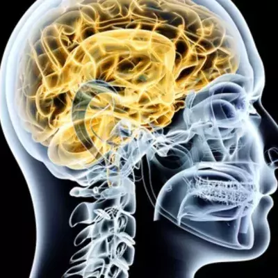 Parkinson: Symptome, Demenz, Ursachen, Verlauf, Therapie und Lebenserwartung