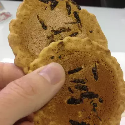 Die 17 seltsamsten kulinarischen (Ekel-)Leckerbissen der Welt