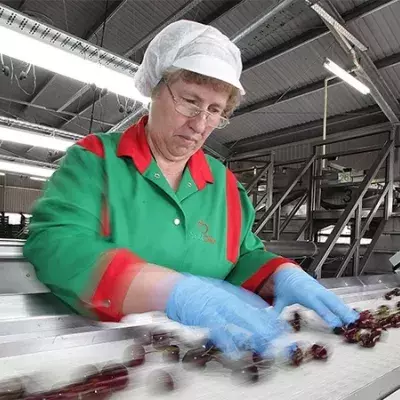 Industriell verarbeitetes rotes Fleisch birgt tödliche Gefahr in sich