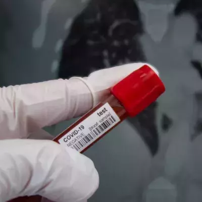 Neue Studie enthüllt: Covid-19 verursacht besorgniserregende Organschäden 