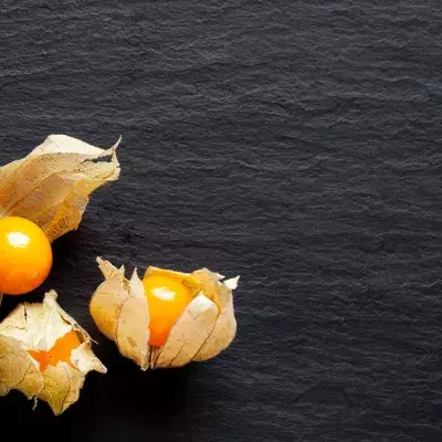 Physalis: Die Superfrucht, die es bald in Massen geben könnte