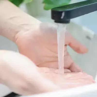 So sehen deine Hände aus, wenn du sie nach dem Toilettengang nicht wäschst