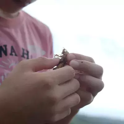 Teenie macht Insekten-Diät: Die Verwandlung seines Körpers ist krass