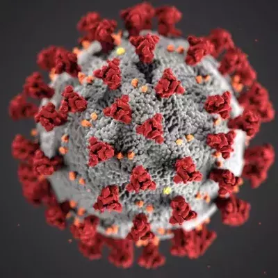 Unheimliche Kombination bei Virusmutation