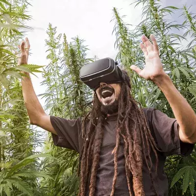 Virtuelles Cannabis statt Rauchen: Eine legale Alternative?