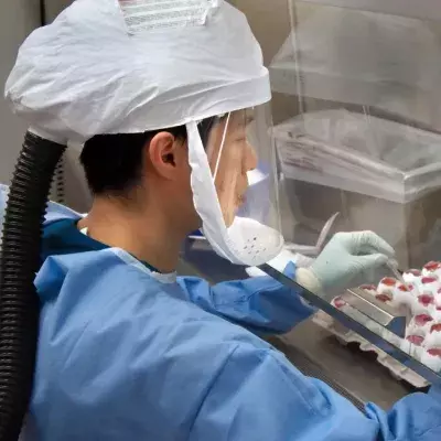 Virus China