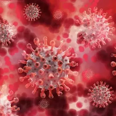 Virus, Covid, gefährliche Krankheiten, Pandemie, Krankheit X, Ebola, Vogelgrippe