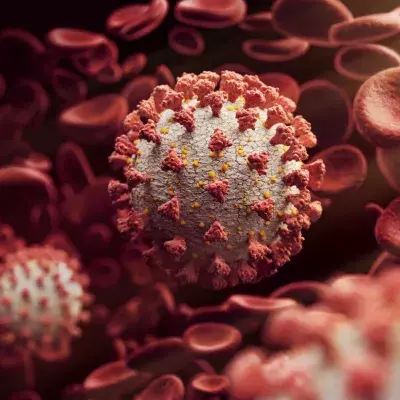 Virus