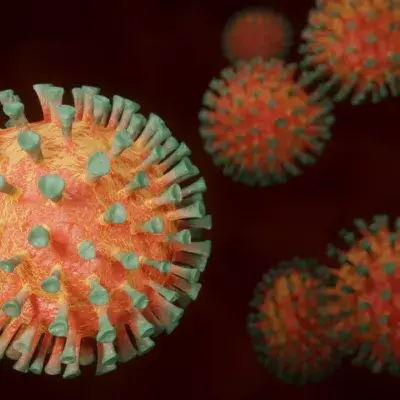 Virus