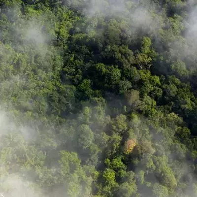 Waldbrand im Amazonas