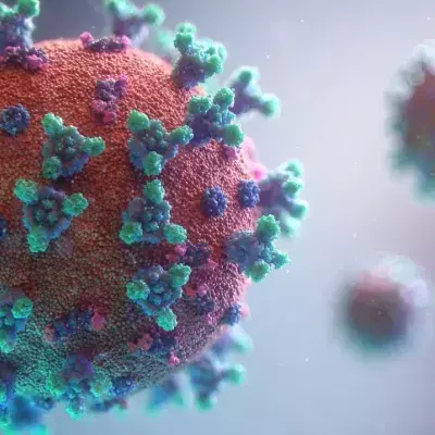 Wir lernen jeden Tag Neues über das Coronavirus