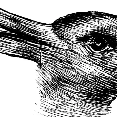 Hase oder Ente? Was du hier als erstes siehst, verrät einiges über dich