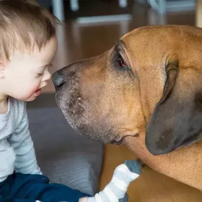 Können auch Tiere am Down-Syndrom erkranken?