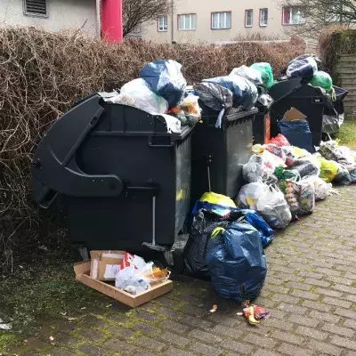 Schweinische Überraschung vor der Schule