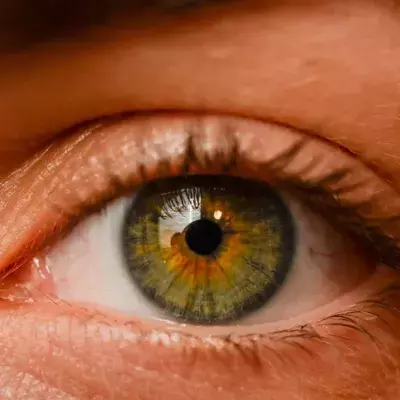 Auge, Holzsplitter, Untersuchung