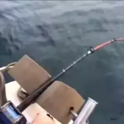 Australischer Angler wird dieses Erlebnis nie vergessen