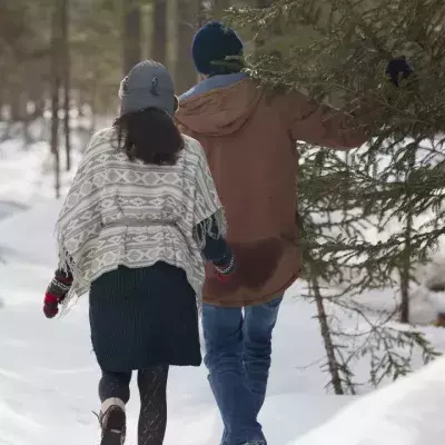 Corona-Ausbruch im Wald