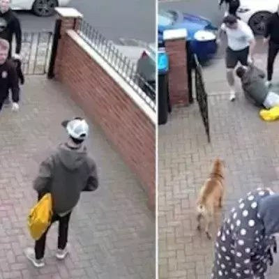 Ein Sohn verteidigt seine kranke Mutter durch ein fettes K.o. (Video)