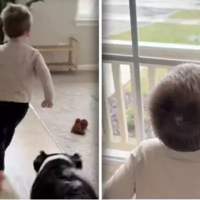 „Ich hab‘ dich lieb, Odie“ Warum ein Junge bei Regen immer ans Fenster läuft