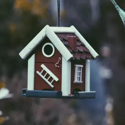 Ein Vogelhaus