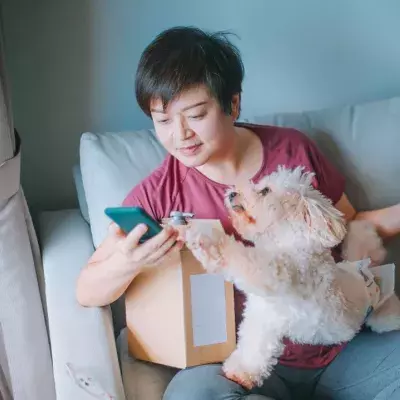 Manchmal ist es einfach besser, seinen Hund im Auge zu haben