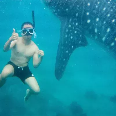 Mann schwimmt auf TikTok mit Haien