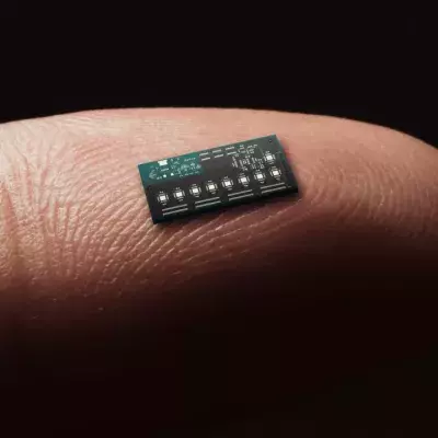 Mikro-Chip