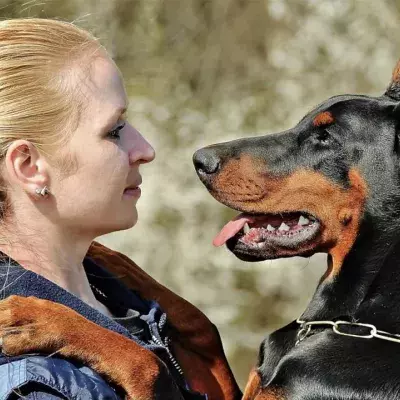 Nach dem Urlaub umarmt Frau ihren Hund mit schrecklichen Folgen